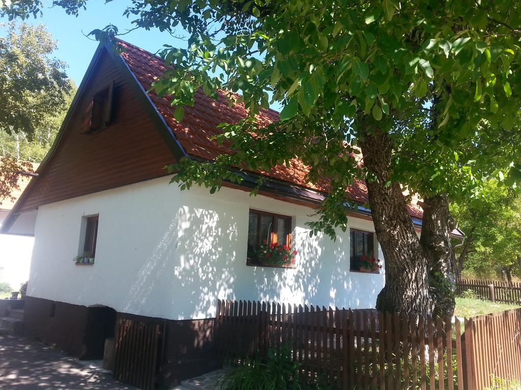 Holiday Home Rizvan City Brusane Exteriér fotografie